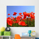 mohn Wall Mural
