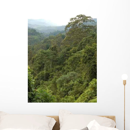 Forest2 Wall Decal