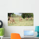 Cheetah Running Sequence Wall Decal