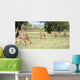 Cheetah Running Sequence Wall Decal