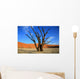 le site de sossusvlei en namibie Wall Mural
