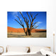 le site de sossusvlei en namibie Wall Mural