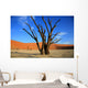 le site de sossusvlei en namibie Wall Mural