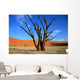 le site de sossusvlei en namibie Wall Mural
