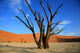 le site de sossusvlei en namibie Wall Mural