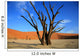 le site de sossusvlei en namibie Wall Mural