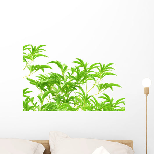 Green Leaves Wall Mural