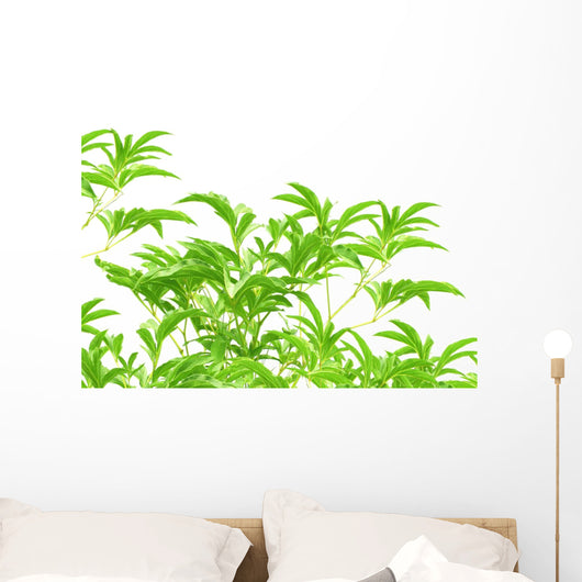 Green Leaves Wall Mural