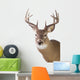 Large Whitetail Buck White Wall Decal Design 1
