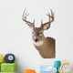 Large Whitetail Buck White Wall Decal Design 1