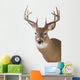 Large Whitetail Buck White Wall Decal Design 1