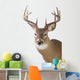 Large Whitetail Buck White Wall Decal Design 1
