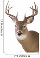 Large Whitetail Buck White Wall Decal Design 1