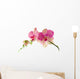 Orchid