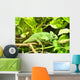 Gecko Wall Mural