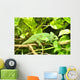 Gecko Wall Mural