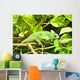 Gecko Wall Mural