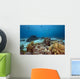 Ocean Coral and Fish
