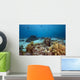 Ocean Coral and Fish