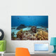 Ocean Coral and Fish