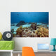Ocean Coral and Fish