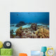 Ocean Coral and Fish