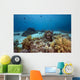 Ocean Coral and Fish