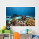 Ocean Coral and Fish