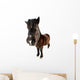 danish horses Wall Decal