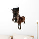 danish horses Wall Decal
