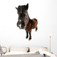 danish horses Wall Decal