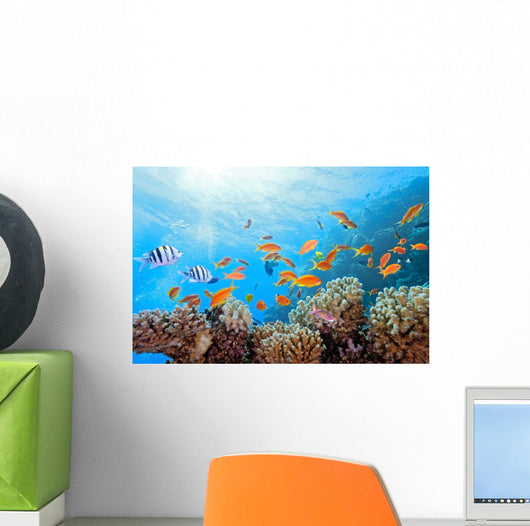 Coral Scene on the Reef Wall Mural