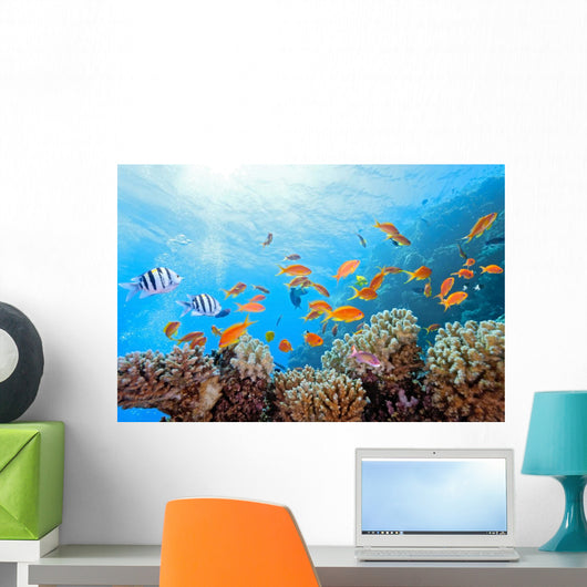 Coral Scene on the Reef Wall Mural