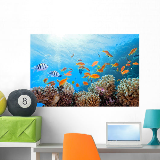 Coral Scene on the Reef Wall Mural
