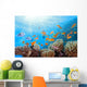 Coral Scene on the Reef Wall Mural