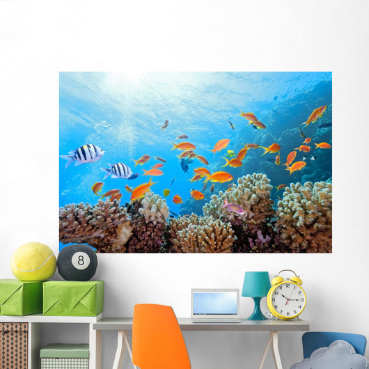 Coral Scene on the Reef Wall Mural