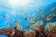 Coral Scene on the Reef Wall Mural
