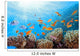 Coral Scene on the Reef Wall Mural