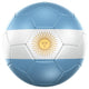 Argentinian Soccer Ball Wall Decal