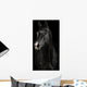 Black Horse Darkness