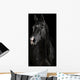 Black Horse Darkness