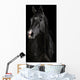 Black Horse Darkness