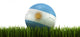 Soccerball in grass Wall Decal