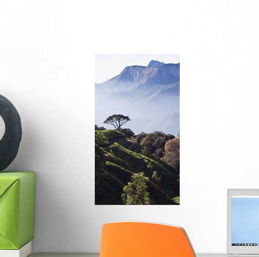 Sunrise over Majestic Western Wall Decal