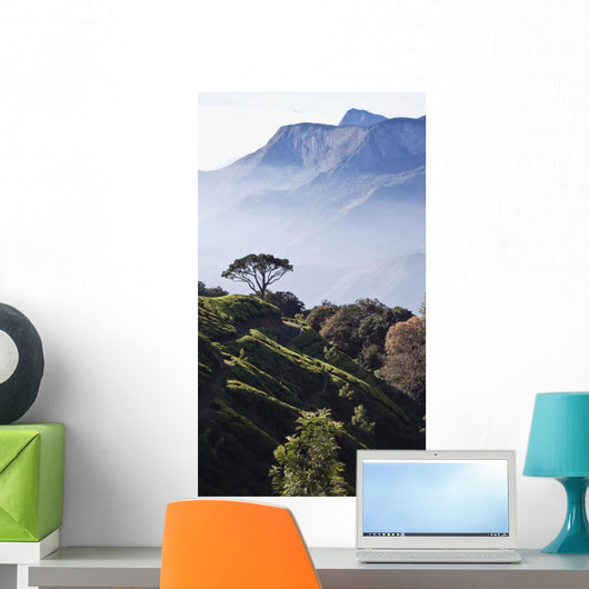 Sunrise over Majestic Western Wall Decal