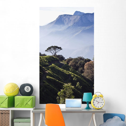 Sunrise over Majestic Western Wall Decal