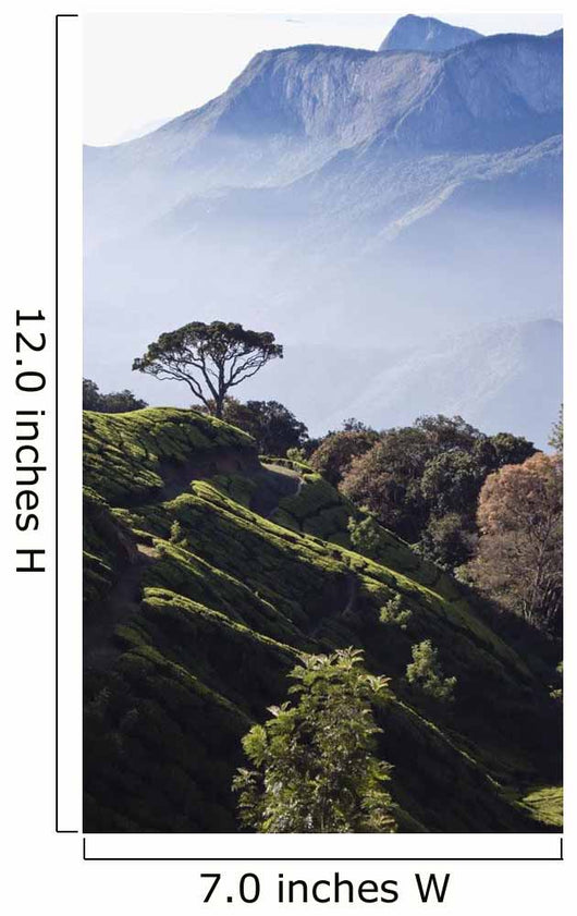 Sunrise over Majestic Western Wall Decal