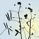 vector grass silhouettes backgrounds for design use Wall Mural