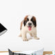 Panting Saint Bernard Puppy