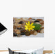 Feng Shui Wall Mural